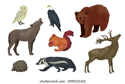 safari animals set, oil paint effect illustration, brush texture, African animals set. owl, eagle, bear, wolf, squirrel, deer, skunk, hedgehog hand drawing illustration.