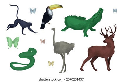 safari animals set, oil paint effect illustration, brush texture, African animals set. monkey, deer, snake, crocodile, ostrich, parrot, hand drawing illustration.