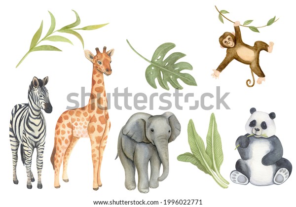 Safari Animals Watercolor Illustrations Isolated Stock Illustration ...