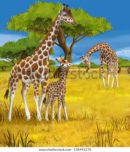 Safari - giraffes - illustration for the children