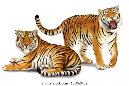 The safari - tigers - wildlife - illustration for the children Ilustração Stock
