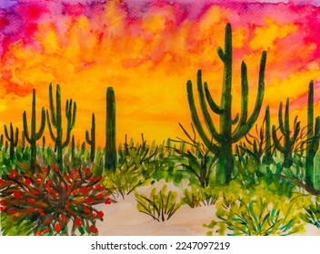 Saguaro National Park in Arizona, Sunset in Sonoran Desert. Watercolor Painting. - Powered by Shutterstock