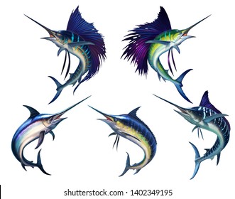Sailfish fish on white. Striped big marlin. Sports fishing in the open sea. Realistic isolated illustration. Striped marlin on white, fish sword. Black silhouette of a large set of fish.