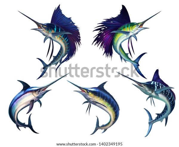 Sailfish\
fish on white. Striped big marlin. Sports fishing in the open sea.\
Realistic isolated illustration. Striped marlin on white, fish\
sword. Black silhouette of a large set of\
fish.