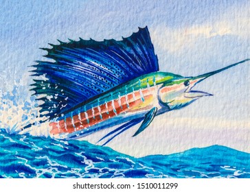 Sailfish jumping. Ocean fishing. The biggest and fast fish in the world