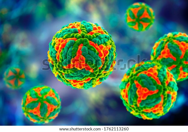 Saint Louis encephalitis virus, 3D\
illustration. An RNA virus of the family Flaviviridae, the\
causative agent of mosquito-borne\
encephalitits