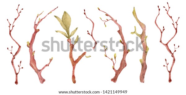 緑の葉と桜の枝に水彩イラスト 花びら手描きのブーケ のイラスト素材