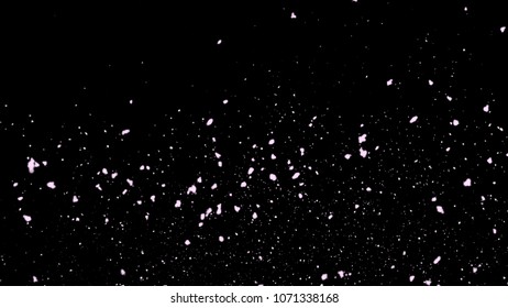 Sakura Flying Motion On Black Background, Romantic Flying Flower Petal Backdrop, Particles Flying On Black