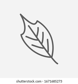 Sakura Leaf Icon Line Symbol Isolated Stock Illustration 1671685273 ...