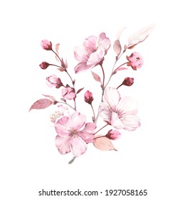 Sakura on branches tree. Watercolor illustration blossoming cherry isolated on white background, design element, romantic symbol spring.
