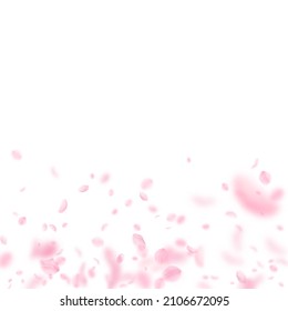 Sakura Petals Falling Down. Romantic Pink Flowers Gradient. Flying Petals On White Square Background. Love, Romance Concept. Unique Wedding Invitation.