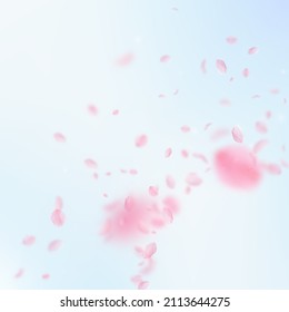 Sakura Petals Falling Down. Romantic Pink Flowers Corner. Flying Petals On Blue Sky Square Background. Love, Romance Concept. Unique Wedding Invitation.