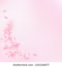 Sakura Petals Falling Down. Romantic Pink Flowers Corner. Flying Petals On Pink Square Background. Love, Romance Concept. Unique Wedding Invitation.