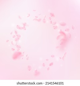 Sakura Petals Falling Down. Romantic Pink Flowers Vignette. Flying Petals On Pink Square Background. Love, Romance Concept. Fancy Wedding Invitation.