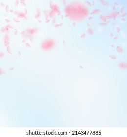 Sakura Petals Falling Down. Romantic Pink Flowers Falling Rain. Flying Petals On Blue Sky Square Background. Love, Romance Concept. Fancy Wedding Invitation.