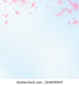 Sakura Petals Falling Down. Romantic Pink Flowers Gradient. Flying Petals On Blue Sky Square Background. Love, Romance Concept. Unique Wedding Invitation.