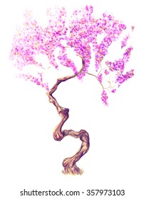 Sakura Tree Drawing Crayons Flowering Tree Stock Illustration