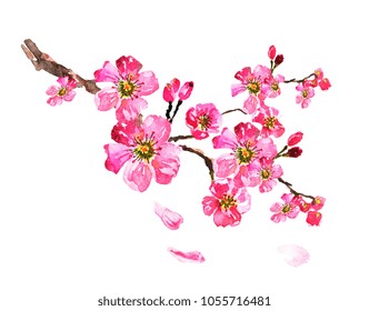 39,707 Cherry painting Images, Stock Photos & Vectors | Shutterstock