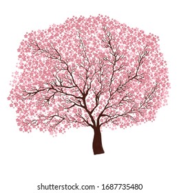 Sakura Tree White Background Stock Illustration 1687735480 | Shutterstock