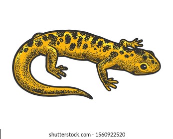 Salamander lizard animal sketch engraving raster illustration. T-shirt apparel print design. Scratch board style imitation. Black and white hand drawn image.
