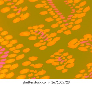 Salamander Skin Art. Stylish Python Print. Colorful Salamander Skin. Flaming Ikat Pattern. On Grey Background. Lizard Ornament. Fashion Clothing Wallpaper. Colorful Exotic Safari Pattern.