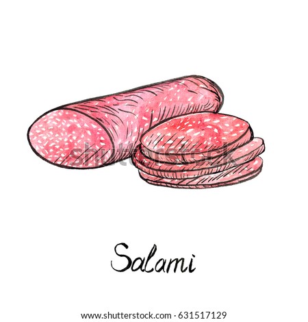 Salami and cut slices, hand painted illustration, watercolor and ink outline