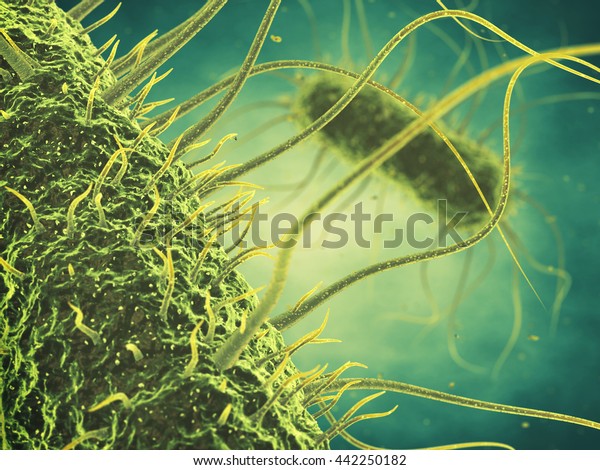 Salmonella bacteria , Germ infection ,\
Epidemic bacterial disease , 3d\
illustration