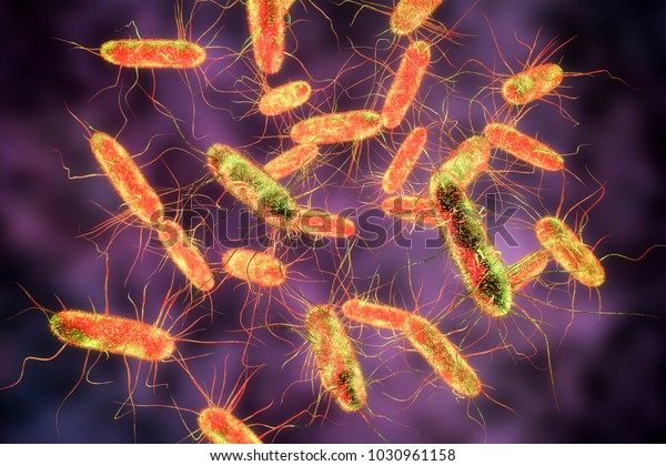 Salmonella bacteria. S. typhi, S.\
typhimurium and other Salmonella, Gram-negative rod-shaped\
bacteria, the causative agents of enteric typhus and food\
toxicoinfection salmonellosis, 3D\
illustration