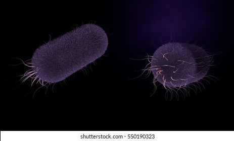 Salmonella Typhi Bacterium. 3d Illustration Bacteria Of Typhoid Fever. Similar To E.coli. Footage Available.
