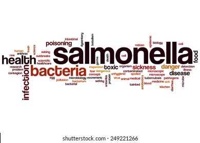 Salmonella Word Cloud Concept