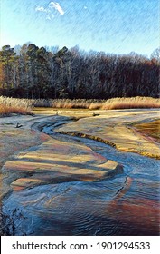 Salt Marsh And Beach, Chesapeake Bay Shoreline, Illustration