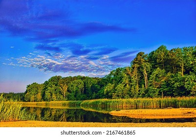 Salt Marsh Near Chesapeake Bay, Illustration 