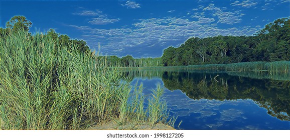 Salt Marsh, Southern Maryland, Illustration 