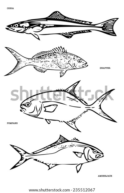 Saltwater Fish Illustration Stock Illustration 235512067 | Shutterstock