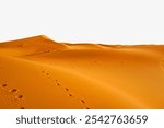 Sand dunes, desert travel border background. Photo of desert landscape scenery border on white background. Landscape desert dune scenery backdrop with copy space for text. Landscape border background.