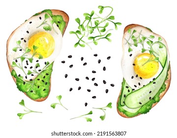 Sandwiches With Mashed Avocado, Scrambled Eggs And Microgreens On A White Isolated Background. Healthy Food. Watercolor Hand Drawn Illustration. Suitable For Menu And Cookbook