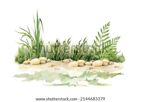 Image, Stock Photo Woodland in a sand dune environment on the west coast of Belgium. A walk through dry and varied nature. The sun illuminates the wilderness