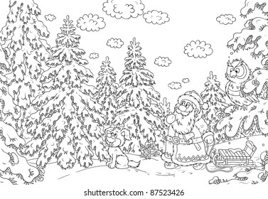 Santa Claus choosing a Christmas tree in a forest - Powered by Shutterstock