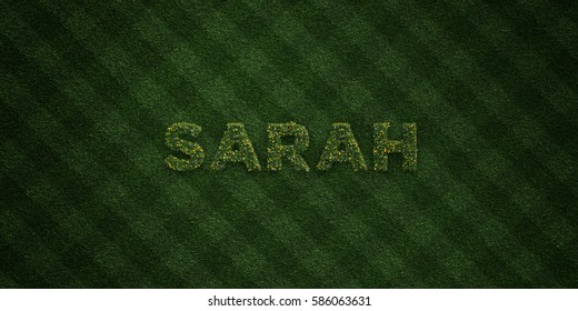 SARAH - Fresh Grass Letters With Flowers And Dandelions - 3D Rendered Royalty Free Stock Image. Can Be Used For Online Banner Ads And Direct Mailers.
