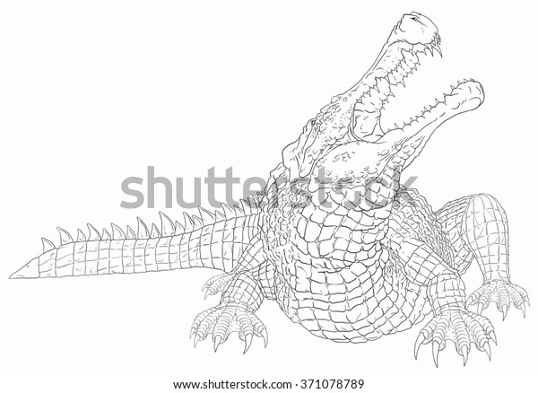 Sarcosuchus Line Drawing Coloring Books Stock Illustration