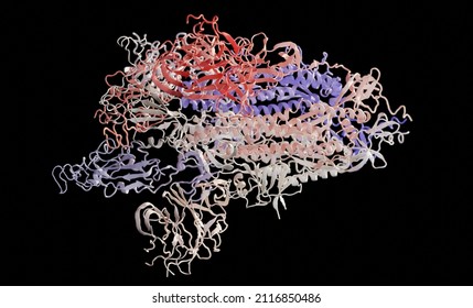 SARS-CoV-2 S Omicron Spike 3d Cartoon Style Based On Protein Data Bank