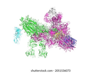 SARS-CoV-2 Spike Glycoprotein. The structure of the complex with protein S, which forms the "crown" of the coronavirus, 3d rendering.