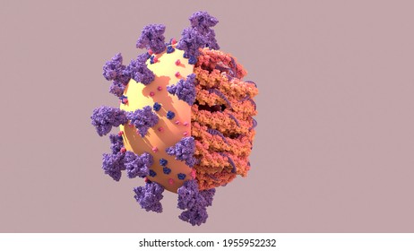 SARS-CoV-2, Structure Of The Coronavirus Genome A Twisted Strand Of  Of RNA  is The Blueprint The Virus Uses To Replicate. 3d Illustration