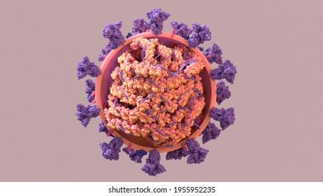 SARS-CoV-2, Structure Of The Coronavirus Genome A Twisted Strand Of  Of RNA  is The Blueprint The Virus Uses To Replicate. 3d Illustration