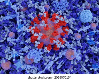 The SARS-CoV-2 virus in blood plasma. Several IgG antibodies  (light blue) are bound to coronavirus spike proteins (red).  3d illustration