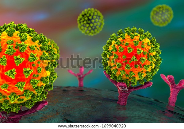 ヒト細胞上のace 2受容体に結合するsars Cov 2ウイルス Covid 19感染の初期段階 コンセプト的な3dイラスト のイラスト素材