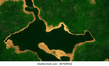 Satellite View of Wild Green Lush Nature Area Illustration