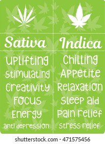 Sativa And Indica Cannabis Effects 