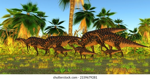 Saurolophus Dinosaur Herd 3d Illustration - A Herd Of Herbivorous Hadrosaur Saurolophus Dinosaurs Walk Among Tropical Vegetation And Palm Trees.