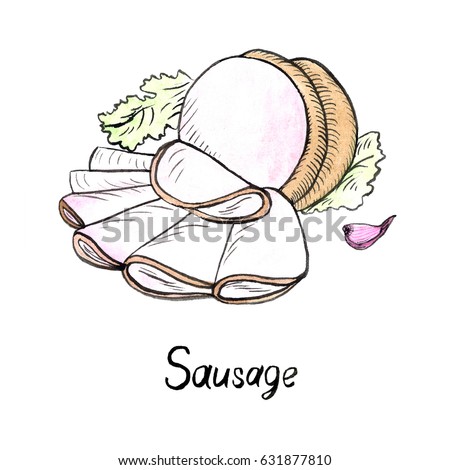 Sausage, cut slices and lettuce leaves, clove of garlic, hand painted illustration, watercolor and ink outline